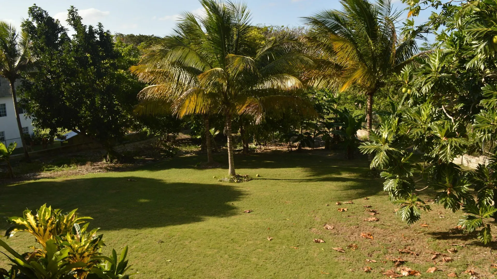 Sea Grove Villa Montego Bay